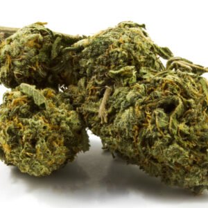 White Widow